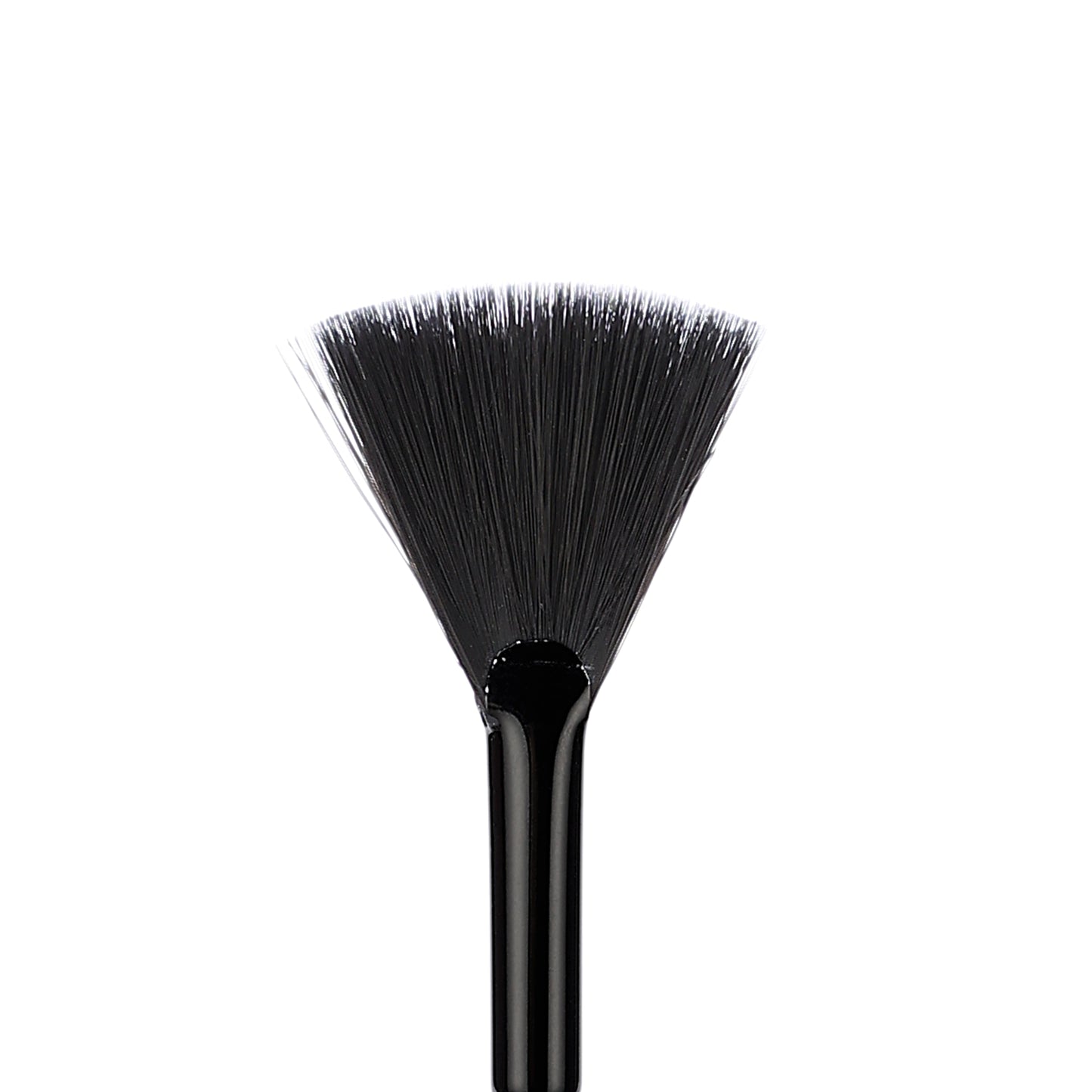 Ziba Fan Brush (L)