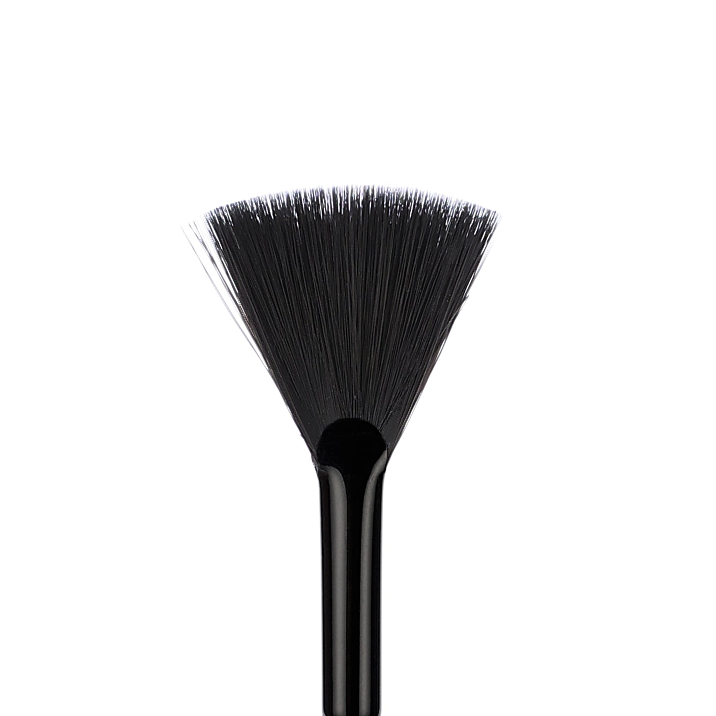 Ziba Fan Brush (L)