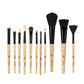 Ziba – Set of 25 Brushes